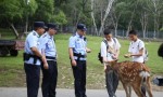 苇河分局：景“警”相随 书写景区平安画卷